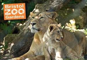 Free child entry to Bristol Zoo  with each full paying adult.