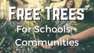 Free trees for schools and communities @ Woodland Trust