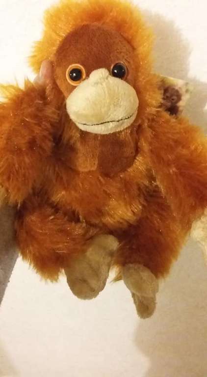 Iceland "Rang Tan" Plush Toy £5 with profits going to charity - there is also a £30 huge version !