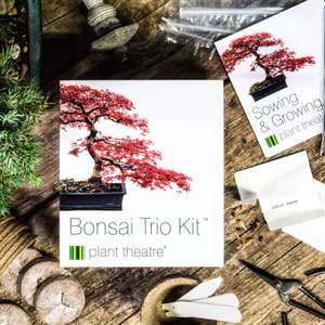 Plant Theatre Bonsai Trio Kit - 3 Distinctive Bonsai Trees to Grow £7.99 (Prime) / £12.48 (non Prime) at Amazon  - free del to 5th with code