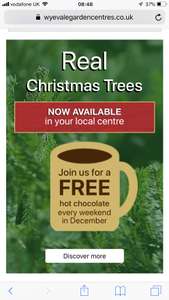 Free hot chocolate Wyevale garden centres