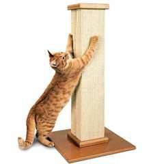 REDUCED Ultimate Scratching Post £29.99 @ Pet Planet