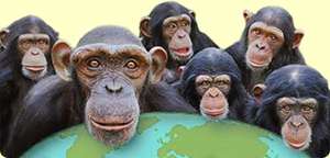 Half Price entry for Monkey World for SP, DT or BH postcodes
