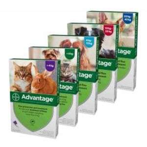 Advantage Spot On Flea treatment £9.01 + £2.99 delivery or free over £29 @ Pet Drugs Online