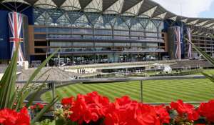 (23rd November) Free entry to the Queen Anne Enclosure (Ascot) for Discover Racing & Ownership Friday