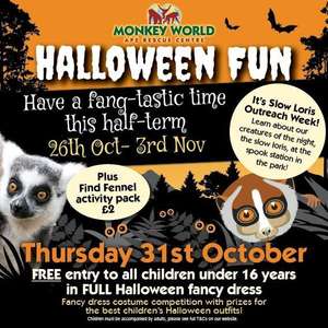 Free Entry on October 31st 2019 for Children in Full Halloween Fancy Dress at Monkey World