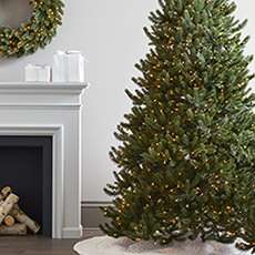 Up to 40% off quality Balsam Hill Christmas Trees
