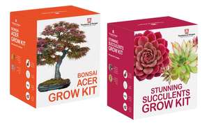 Bonsai Acer Growing Kit - £6.47 delivered with code @ Groupon