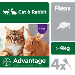 3 for 2 - Advantage Flea Treatment for Cats, Dogs and Rabbits 4 Pipettes - £21.89 delivered at VetUK