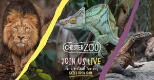 Chester Zoo - Free Virtual Tour 10th April