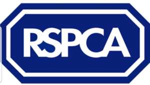 RSPCA Free Home for Life Scheme - Have you ever wondered what will happen to your pet should they outlive you?