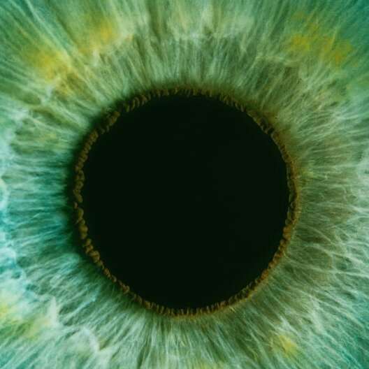 £10 Eye Test @ Vision Express in Tesco's inc. Retina imagery & eye health