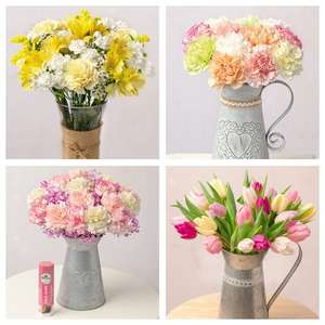 25% Off All Flowers & Plants (eg: Carnations £12 / Flowers & Chocolate Gift £16.25 / Pink Blush £17.25 etc) - Free Delivery @ Bunches