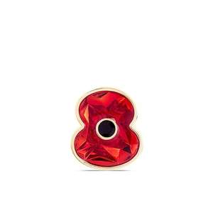 Remember Together Poppy Pin / Brooch £7.99 + £3.99 del at The Poppy Appeal