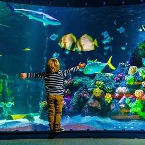 SEA LIFE Single Person Pass £6.37 (Great Yarmouth / Hunstanton) // SEA LIFE Family Pass from £25.42 with code (various) @ Planet Offers