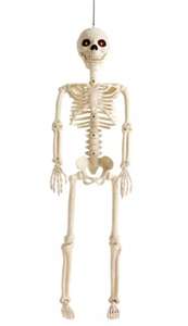 50% off Halloween decorations - Eg Home Animated Skeleton for £10 (Free Click & Collect) @ Argos