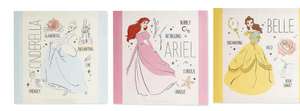 Disney Princess & Frozen 2 Childrens Canvas Prints Reduced £5.49 Or £8.44 Each Delivered @ Aldi