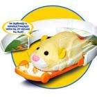 various go go pets accesories in stock at lorimers £22.99 - Go Go Pets Hamster Skateboard & Uturn tube