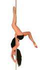 POLE DANCING 'EXPERIENCE'  £16.20 after Topcashback! @ treatme.net