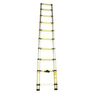 2.9m Telescopic Ladder @ Maplin £59.99
