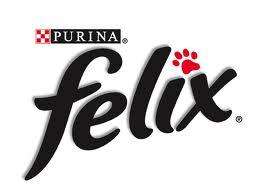 FREE felix kitten pack - has cat toy and 3 full size  food samples