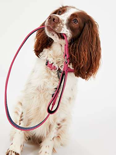 Rosewood Joules Pink Leather Dog Collar Medium - £8.04 @ Amazon