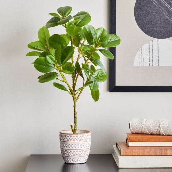 Ficus Deltoidea (Artificial Plant) in Terracotta Pot 50cm - £3.75 + Free Click & Collect @ Dunelm