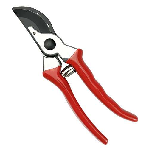 gonicc 8" Professional Secateurs Sharp Bypass Pruning Shears (GPPS-1002) sold by Gonicc Europe FB Amazon