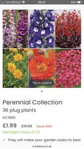 36 perennial plug plants - £1.99 + £5.99 delivery @ Sutton Seeds
