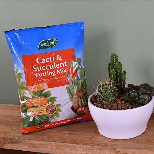Westland 10200054 Cacti/Succulent Potting Compost Mix and Enriched with Seramis, 4 litres - £3.99 @ Amazon