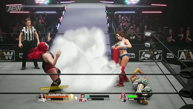 AEW Fight Forever (PC)