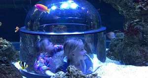 Skegness Aquarium - Half Price Family Pass