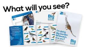 Free Big Garden Birdwatch Pack (Print or Digital) from RSPB
