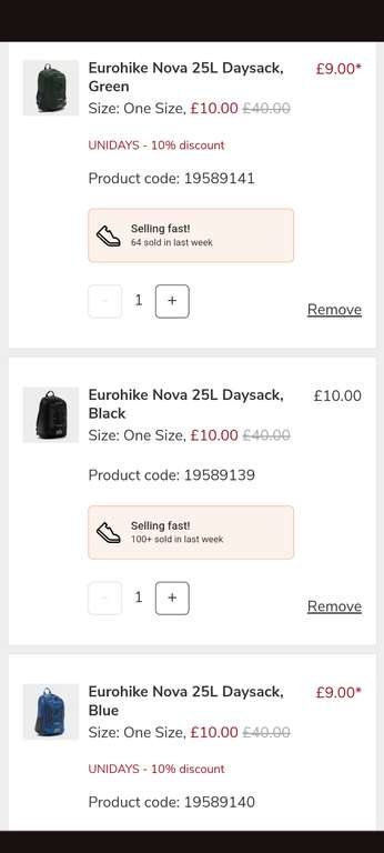 Eurohike 25l Backpack £9 with student discount