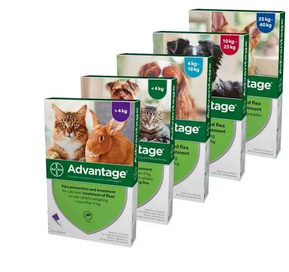 Advantage 4 Pipette Spot-On Flea Treatment - £9.02 + £2.99 delivery (Extra 10% Off With New Customer Code) @ Pet Drugs Online