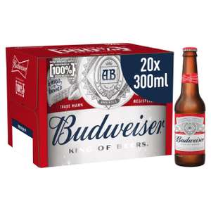 Budweiser Lager Beer Bottles 20 x 300ml - £15 each / 2 for £20 @ Morrisons