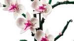 LEGO Icons Orchid Plant & Flowers Set 10311 (Free Click & Collect)