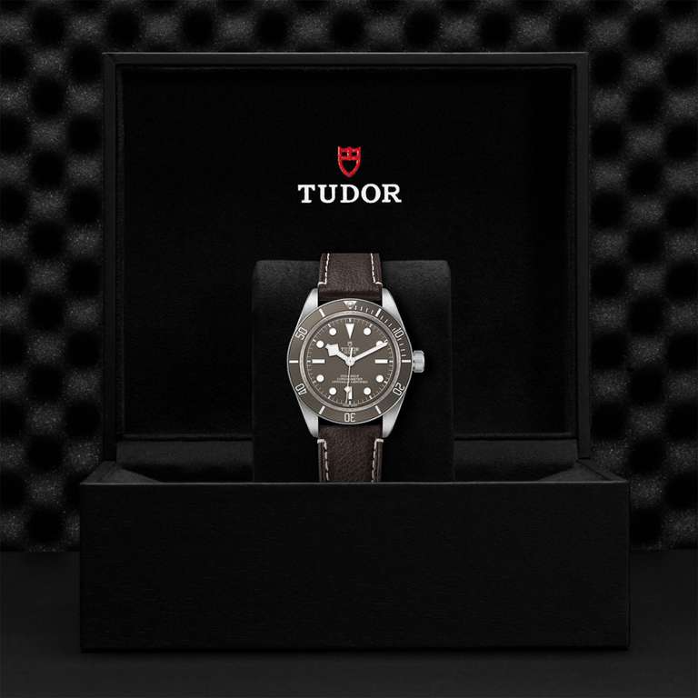 Tudor Black Bay Fifty-Eight 925 39mm Watch M79010SG-0001
