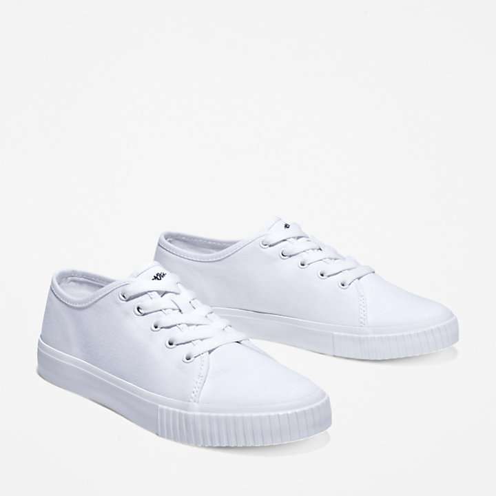 Skyla Bay white Sneakers For women now £26.70 with code + free collect + From Timberland