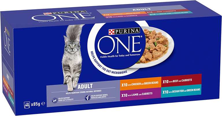 Purina ONE Adult Cat Food Mini Fillets in Gravy 40 x 85g, £12.35 or cheaper using 10% off S&S orders @ Amazon