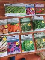 All seeds now 5p including Johnson's seeds @ Wilko Spalding