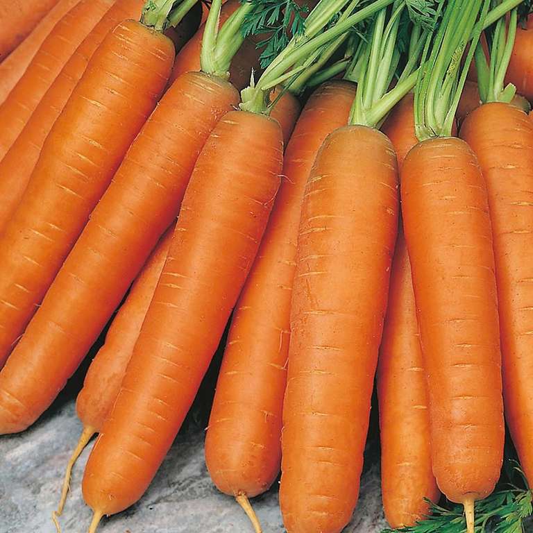 99p seed packets + free carrot trial seeds + free seed labels + free delivery using code at DT Brown