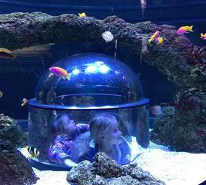 Skegness Aquarium - Half Price Family Pass - £19 @ Planet Offers