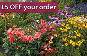 £5 off £10 order using discount code at Thompson & Morgan