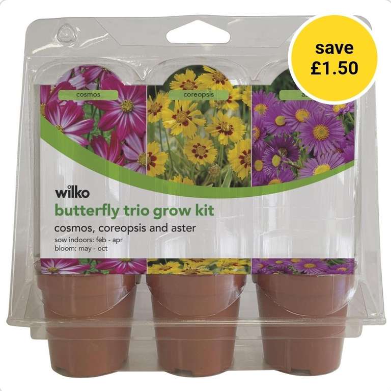 Grow Your Own Trio Kits: Butterfly / Cactus / Bonsai / Chilli - Free C&C