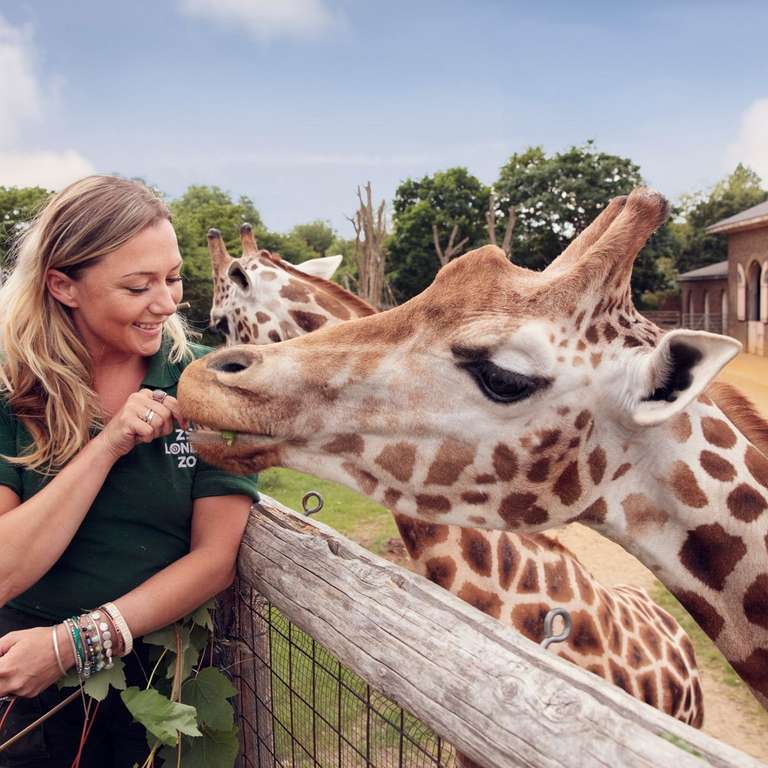 London & Whipsnade Zoo - Tickets from £3pp / Visitors with additional needs £6.50pp + Those over the age of 60 at risk (Criteria applies)