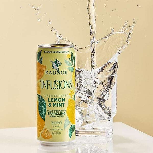 Radnor Infusions Lemon & Mint Sparkling Water 24 x330ml | £7.99 at DiscountDragon | (+5.99 / FREE for over £25)