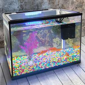 18L Glass Aquarium Fish Tank Starter Kit £30 delivered @ Weeklydeals4less