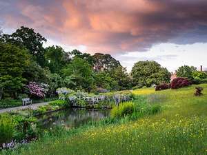 25% off first year @ Royal Horticultural Society (RHS) membership when paying by direct debit