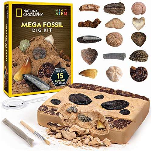 National Geographic Mega Fossil Dig Kit - Excavate 15 Genuine Prehistoric Fossils sold by National Geographic Science Toys